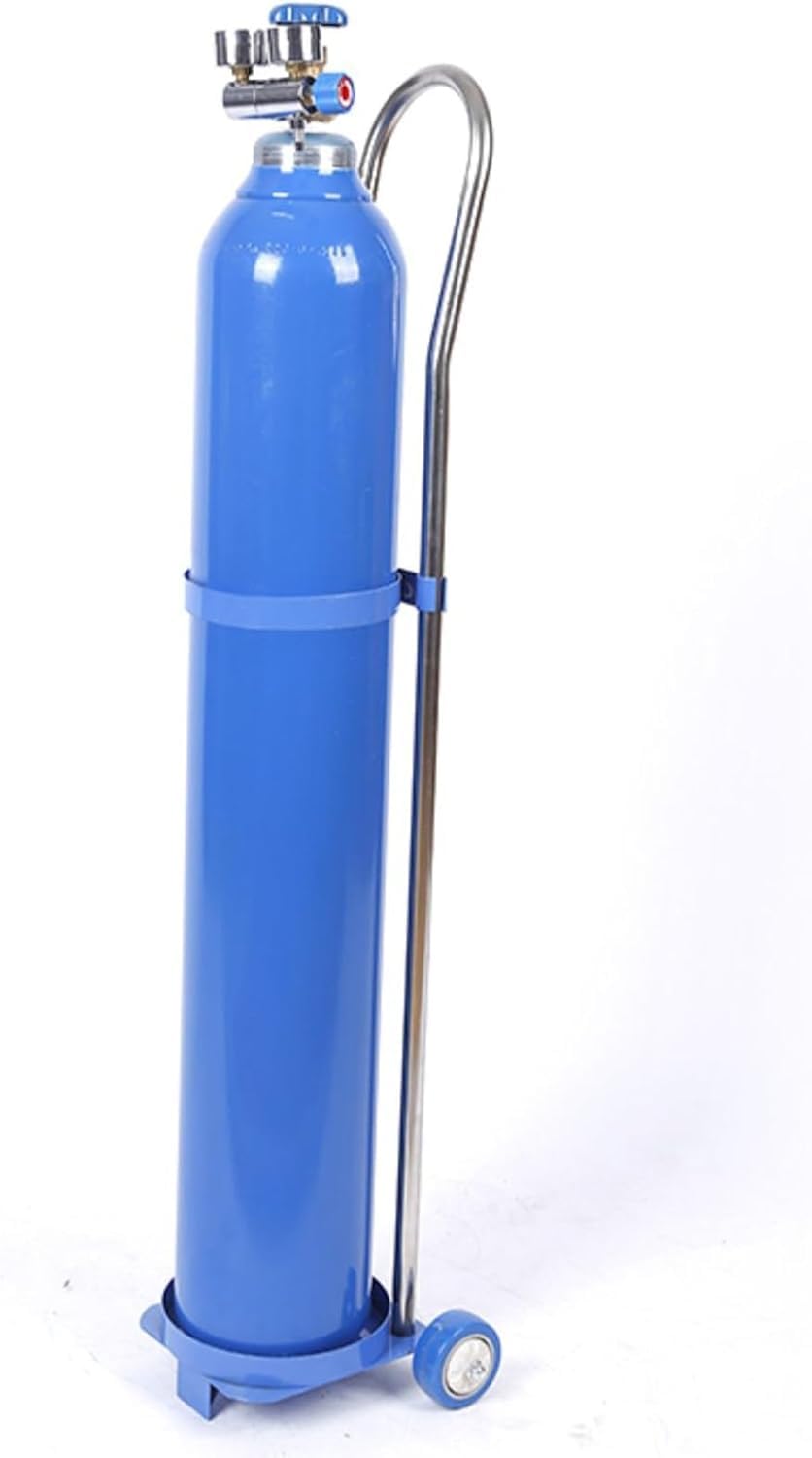 GTHTUHFD Oxygen Cylinder Cart, Oxygen Tank Cart, Lightweight Rolling Cylinder Tank Rack, Household Stainless Steel Gas Cylinder Fixed Rack With 2 Wheels,43.3 in/110cm(20L)
