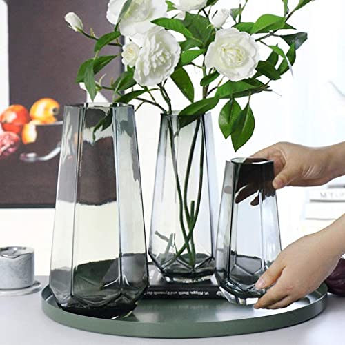 Vase hydroponique RLKHXBS anti-renversement pour décoration sans risque - 4