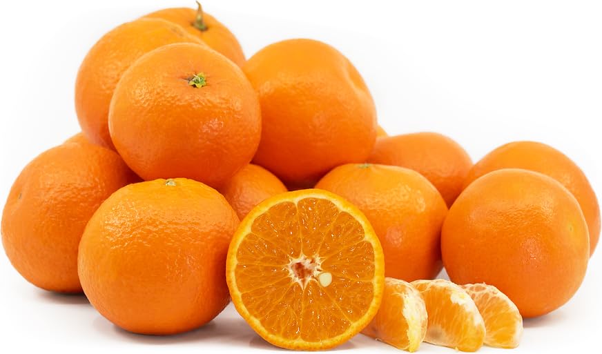 5 Pounds Rare Hard to Find Freshly Picked Sweet Daisy Tangerines Mandarins No Chemicals pesticides Used