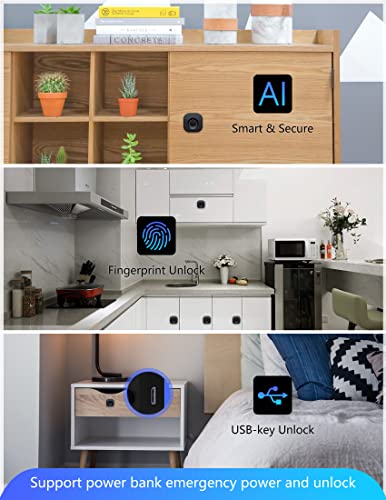 Sumnew Fingerprint Cabinet Lock, Smart Biometric Cabinet Lock, Keyless Hidden File Drawer Wardrobe Lock, Child Safety Electric Fingerprint Lock, Diy Wooden Furniture Privacy Lock For Home Office #TOP4