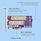 10Gtek 2-Port M.2 NVMe PCIe 3.0 X4 Adapter Card M-Key and B-Key, Support M.2 NVMe SSD and M.2 SATA SSD