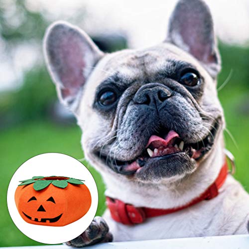 STOBOK Fantasia de Cachorro de AbÃ³bora Fantasia de Animal de EstimaÃ§Ã£o de Halloween CÃ£es E-Colei