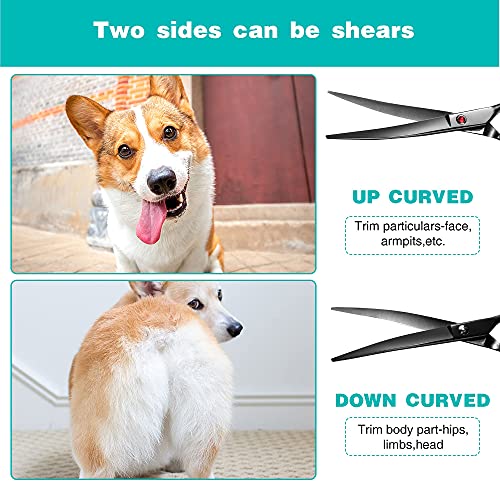 Intini 7.5" Curved Dog Grooming Scissors,Professional Pet Grooming Shears with Safe Round Tips, Shears for Dogs with Thick Hair,Dematting Tool for Dogs,Light Weight, Right and Left Hands - Image 4