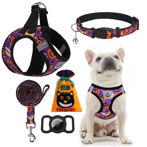 EXPAWLORER Halloween Puppy Harness - Dog Collar and Leash - Soft Mesh Padded Adjustable Step in Small Dog Vest Harness No Pull, Reflective Escape Proof for Outdoor Walking, Purple S