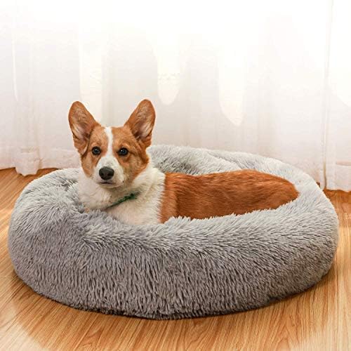 Dog bed with removable pillow Clearance