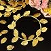 6 Piezas Corona Romana Diadema de Hoja de Laurel Diadema de Anillo...