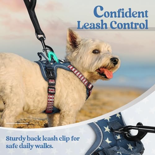 Image of rabbitgoo Dog Harness No Pull with 2 Leash Clips, Adjustable Soft Padded, Reflective Oxford No Choke Pet Vest with Easy Control Handle for Large Dogs, Blue Star, XS