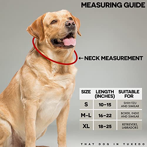 Image of TDIT X�DC Batman Reversible Dog Bandana with Adjustable Dog Collar (Size X-Large)