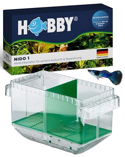 HOBBY Aquaristik Nido 1 I Schwimmender Ablaichkasten mit automatischer Wasserstandsanpassung I Aufzuchtbecken für Jungfische I Ablaichbehälter mit Trennwand für 2 Fische
