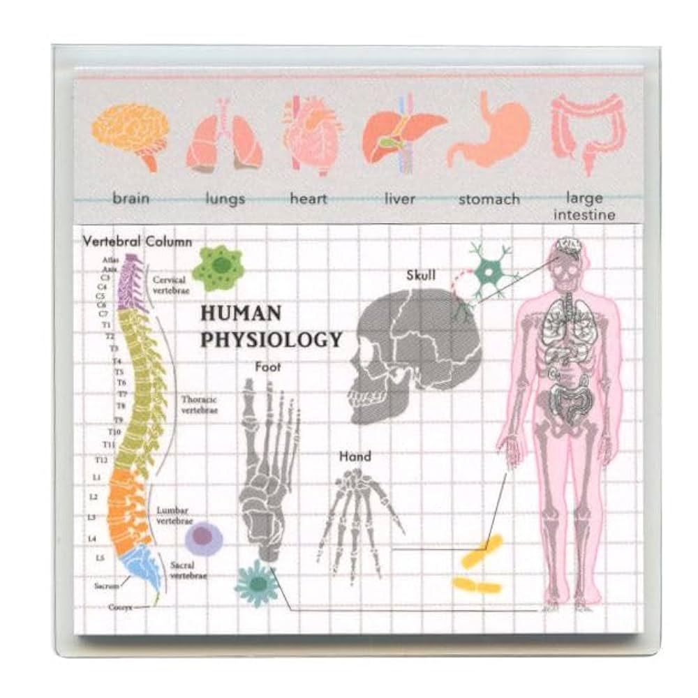 【中古】 バイ菌は悩まない 不安なこころの処方箋/五月書房/なだいなだ 中古】 バイ菌は悩まない 不安なこころの処方箋/五月書房/なだいなだ