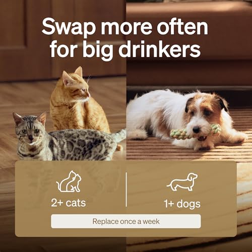 Image of PETLIBRO Cat Water Fountain Filter Replacement, 8 Packs Pet Fountain Filter & Sponges for Dockstream WF106 /WF116 /WF105 /WF115 /WF005 /WF305, 4 Months Set Easy-Swap PETLIBRO Cat Water Dispenser Filter