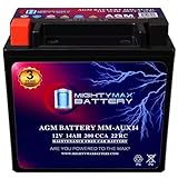 Mighty Max ML-AUX14 Auxiliary Ba