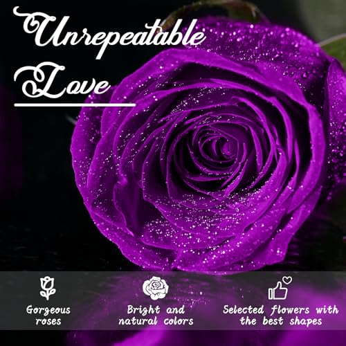 Miniatura 2 de Csyy Rosa Eterna, Rosa Eterna Púrpura Con Tallo Flores Preservadas Regalo San Valentín Dia De La Madre Flores Regalo Mama Navidad Púrpura