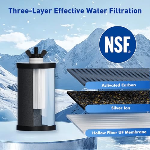 Image of 2387 Water Filter Replacement, NSF /ANSI Certified for Alexapure Water Filtration System, 5000 Gallon Throughput Capacity, 4 Pack