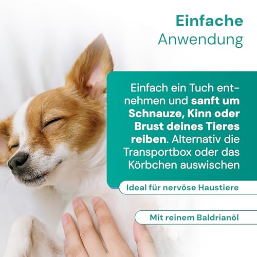 Emmi-pet Remedy Beruhigungstücher 12 STK. – Natürliche Anti-Stress Tücher für Hunde & Katzen I Entspannung & Beruhigung unterwegs I 100 % ätherische Öle I Stress & Angst-Linderung