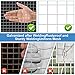Land Guard 19 Gauge Hardware Cloth, 1/2 inch Chicken Wire Fence, Galvanized Welded Cage Wire Mesh Roll Supports Poultry Netting Cage Fence…