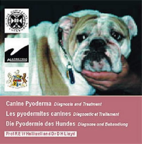 Canine Pyoderma