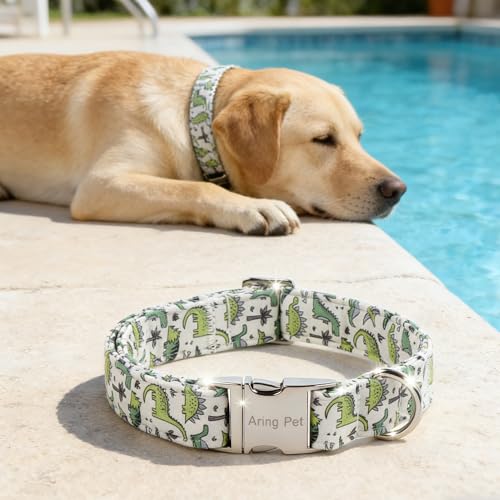 Image of ARING PET Boy Dog Collar for Puppy Small Medium Large Dogs-Green Dinosaur M | Cute Dino Heavy Duty Pet Collars with Metal Buckle for XS S M L XL Dogs, for Daily Walk Camping Trip Outings Photoshoots