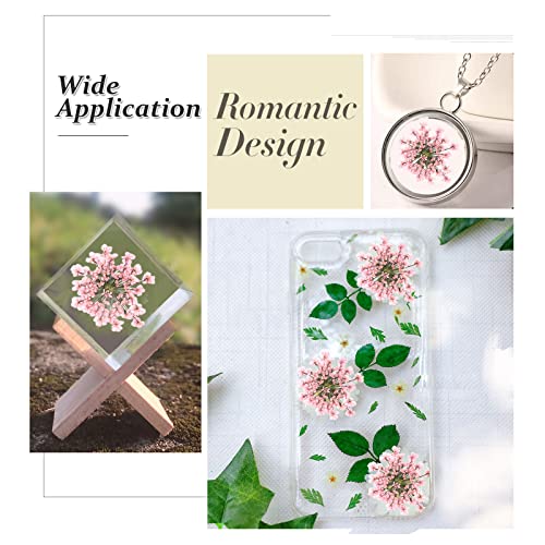 Flores secas naturales prensadas Gypsophila 60 piezas miniatura 7