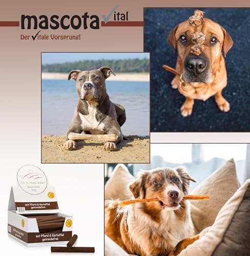 123... Hund dabei! - Kaurollen XXL 50er Tray (Pferd) - Dentalkaurolle - Getreidefrei - Vorteilspaket - Kaustangen für Hunde - Kausticks - Zahnpflege - Kaurollen für Hunde