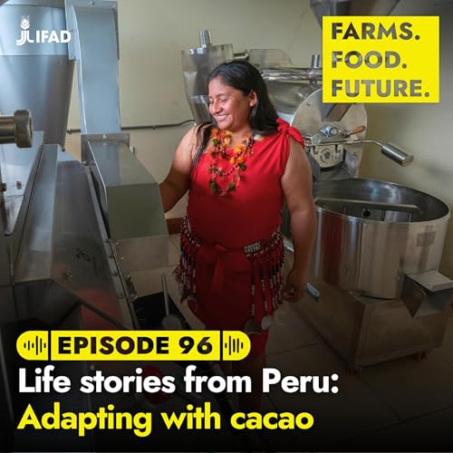 Life stories from Peru: Adapting with cacao