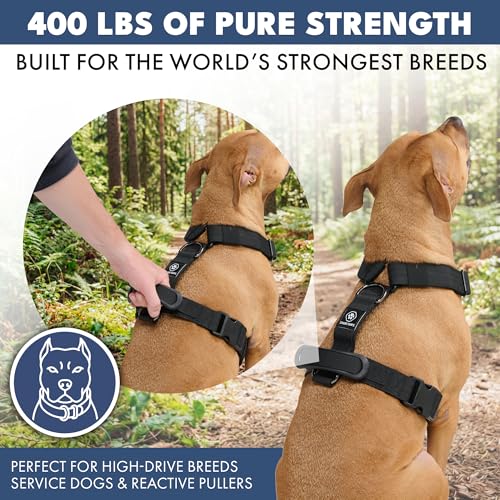 Image of Spark Paws No Pull Dog Harness with Handle for Large Dogs, Heavy Duty Dog Harness for Big Strong Breeds, Adjustable, Y Shaped Padded Halter Design with Front Clip - Black - L