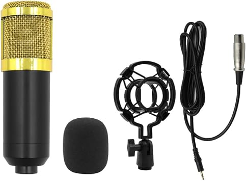BM800 condenser microphone microphone + V8 sound card net red anchor computer recording bracket large diaphragm live broat set BM800 full plastic single wheat gold mesh