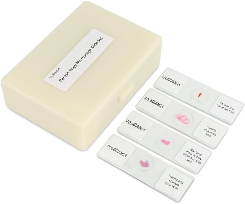 Prepared Parasitology Microscope Slide Set, Excellent 30pcs Slides Resource for Instruction at The College Level (Parasitology)