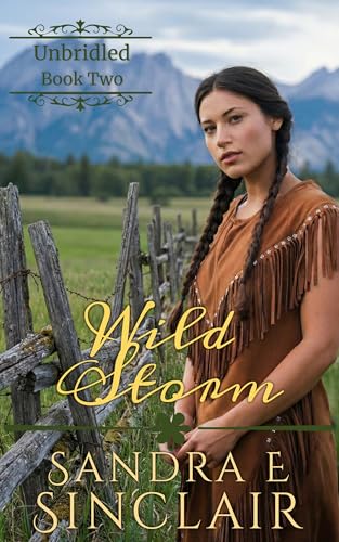 Wild Storm (The Unbridled Series Book 2)