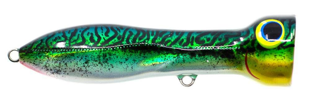 Nomad Design Chug Norris Topwater Popper Lure Collection – Floating Offshore Saltwater Surface Fishing Plug - Durable HD Body for Big Game - Realistic
