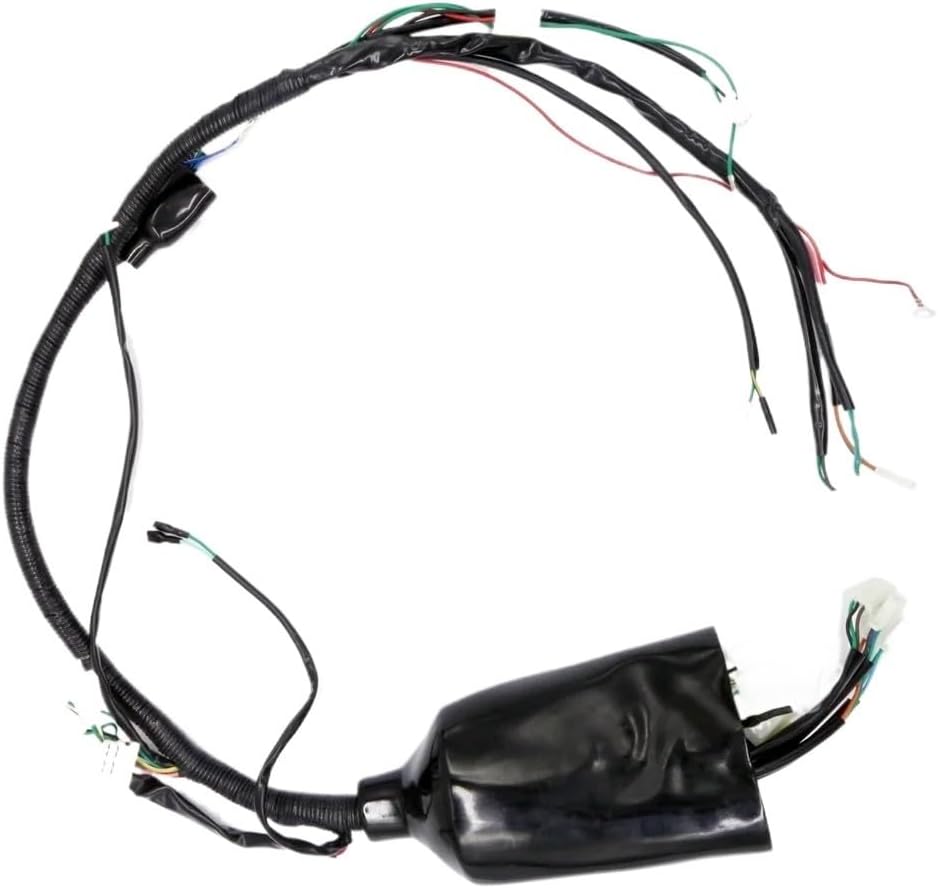 Wire Loom Compatible With ATV Racing Quad Bike 250cc Parts EEC JLA-21B JLA-923 Scooter Parts