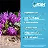 E2H: Liver Support Supplement (2 Pack - 4 Fl Oz) and Chlorophyll Liquid Drops (Single Bottle - 2 Fl Oz) | Vegan, Non-GMO - (6 Fl Oz Total) - Bundle