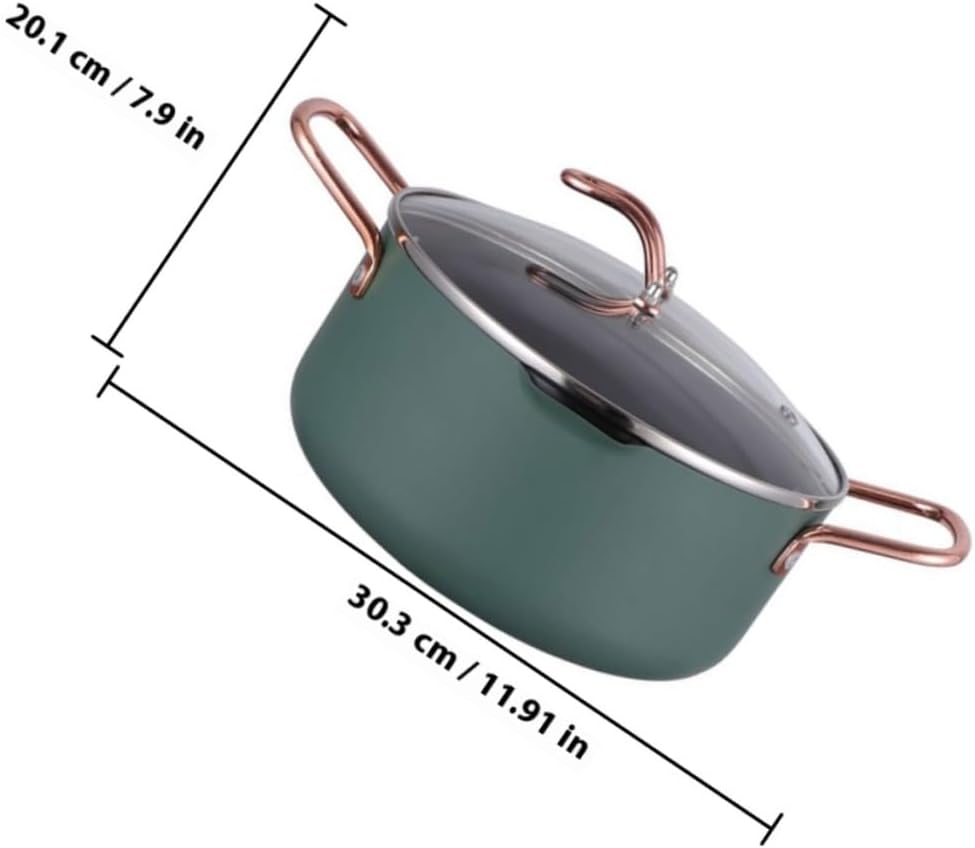 Nonstick Food Cooking Pot 20cm Soup Pot with Frying Rack Multifunctional Household Stockpot for Food Preparation Random Color