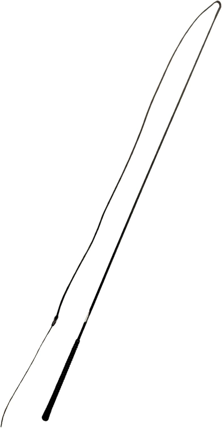 Intrepid International Horse Training Lunge 5' Whip with 4' Lash