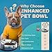 Enhanced Pet Bowl – Slanted Stainless Steel Dog Bowl for Flat-Faced Breeds Like Bulldogs, Pugs, Frenchies – Raised Back, No-Spill, Reduces Gas & Mess – Large Size, Non-Slip, Food-Grade