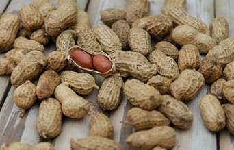 BBRATS Groundnut With Shell / Sabut Mufali / Raw Peanut / Mungfali; 1kg ( Pack of 1 )