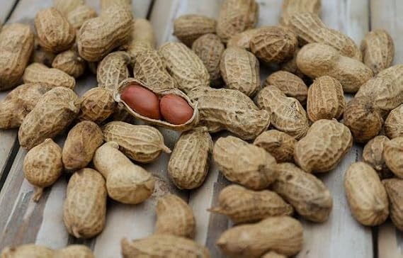 BBRATS Groundnut With Shell / Sabut Mufali / Raw Peanut / Mungfali; 1kg ( Pack of 1 )