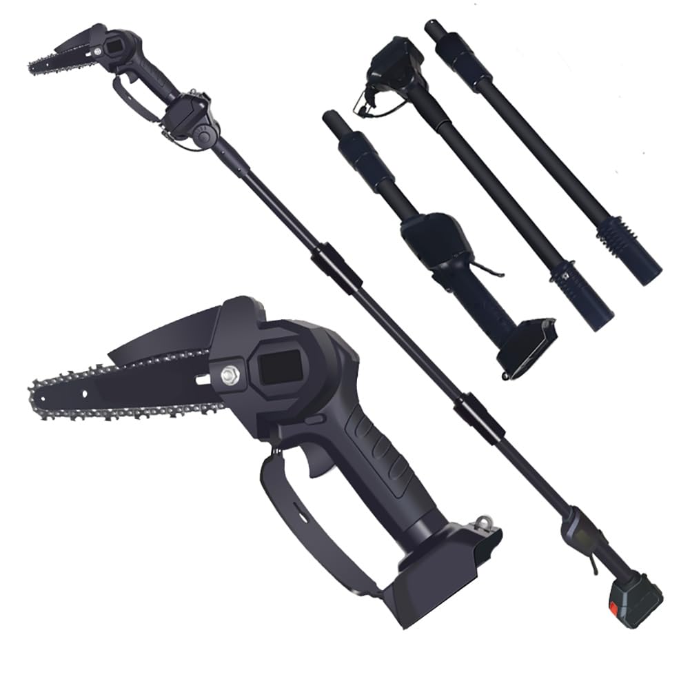 Tronçonneuse de jardin 21V à perche amovible pour branches hautes avec 2 batteries