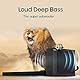 Hisense HS2100 2.1 Soundbar Home Theater System mit kabellosem Subwoofer, 240W, Dolby Audio, Bluetooth, HDMI ARC/Optical/AUX/USB, Schwarz