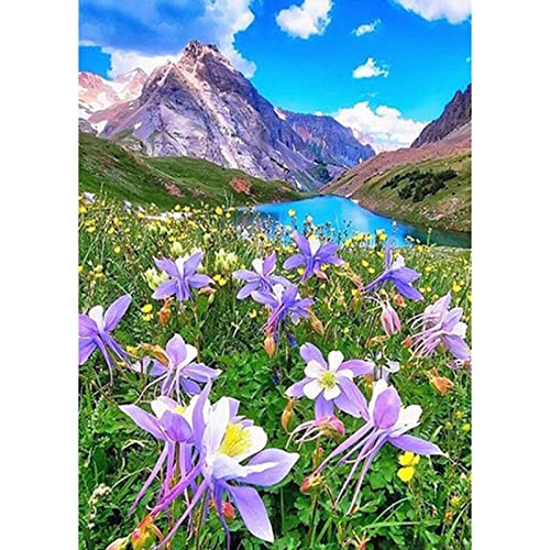 Art de cristal de diamant complet grand format 40x80cm fleurs multicolores