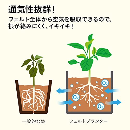 アルファックス 不織布プランター 植木鉢 幅38×奥行20×高さ20cm ファミカジ 育てる フェルトプランター 角浅型 AP-625018 グレー 6枚目