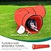 DWVO Dog Agility Accessories Kit: Comprises of a Teaser Pole, 2 Hurdles, 6 Weaving Poles, Agility Tunnel, Pause Box, Full Set of Agility Equipment for Backyard Indoors Outdoors