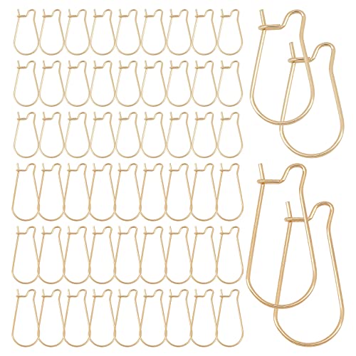 CREATCABIN 1 Box 60pcs Earring Hooks Stainless Steel Kidney Ear Wire Hook Earring Findings for Jewelry Making Earrings Accessories DIY Golden