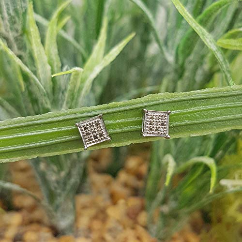 Dazzlingrock 31154
