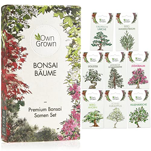 Bonsai Samen Set: Premium Bonsai Starter Kit mit 8 Sorten Bonsai Saatgut – 40 Samen im Bonsai Anzuchtset zum Bonsai Züchten für den Mini Garten und Zen Garten, Bonsai Baum Samen Set von OwnGrown