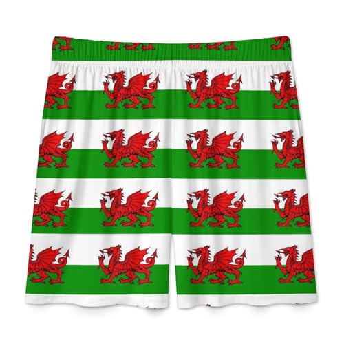 Welsh Dragon Flags Men's Satin Pajama Boxer Shorts Silk Feeling Lounge Sleep Underwear4