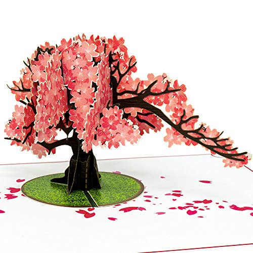 Paper Love Pop Up Card, Summer Collection, 3D Popup Greeting Card (Cherry Blossom)