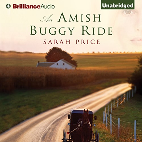 An Amish Buggy Ride - Sarah Price