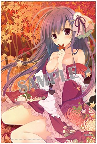 Amazon.co.jp: 狗神煌 紅葉 Extra Edition B2タペストリー : おもちゃ