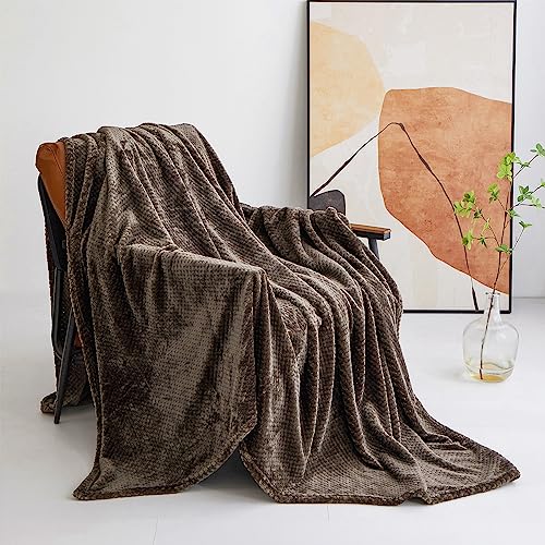 Ouinne 150X200CM,Manta Microfibra para Cama,Manta Microfibra para Cama Sofá y Sillón, Manta Polar Lisa de Tacto Suave Super Caliente para Adulto y Niño,Sin Arrugas 900g